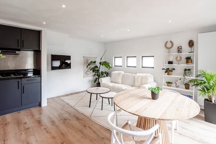 Open plan living and dining area with designer furniture