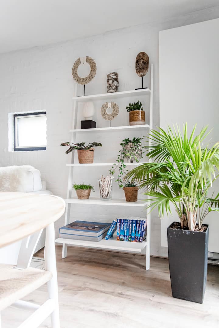 Decorative shelf with plants, books, and curated objects